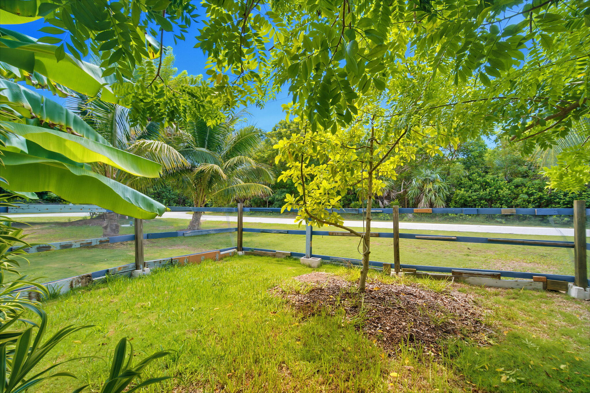 1160 Avenue A Property Photo 61