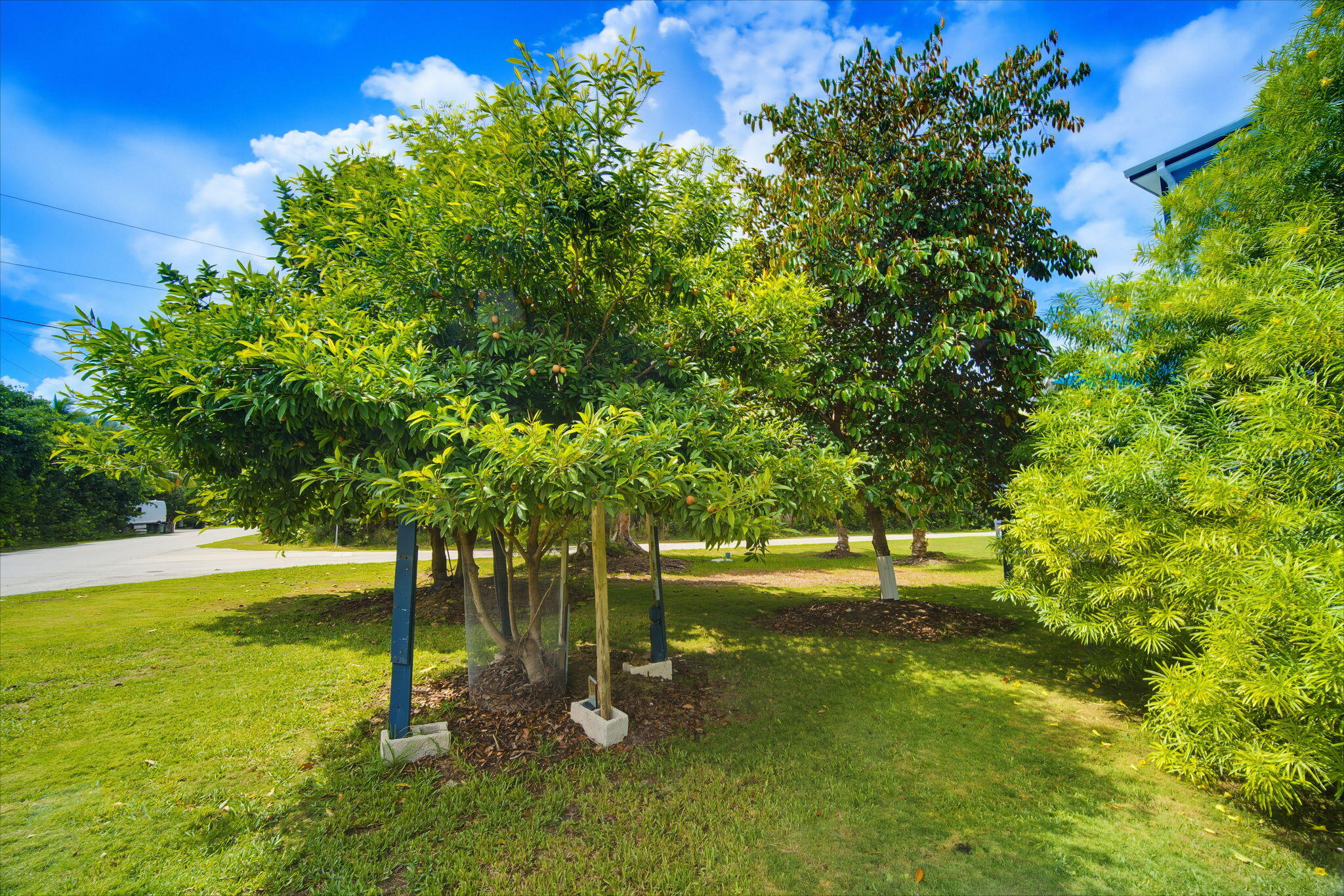 1160 Avenue A Property Photo 62