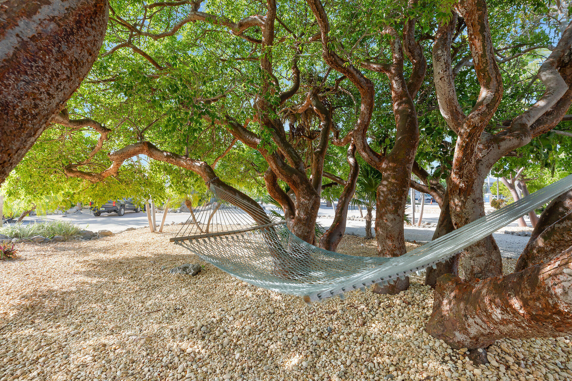 355 Stirrup Key Boulevard Property Photo 63