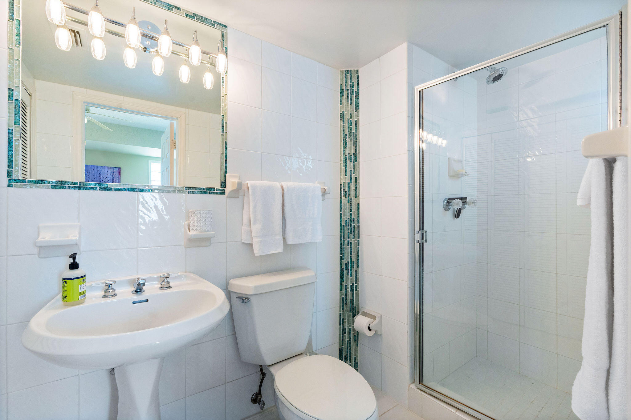 101 Buena Vista Court Property Photo 29