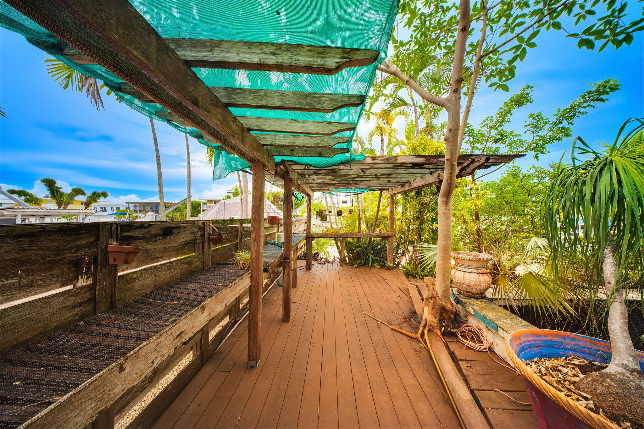 147 Gardenia Street Property Photo 39