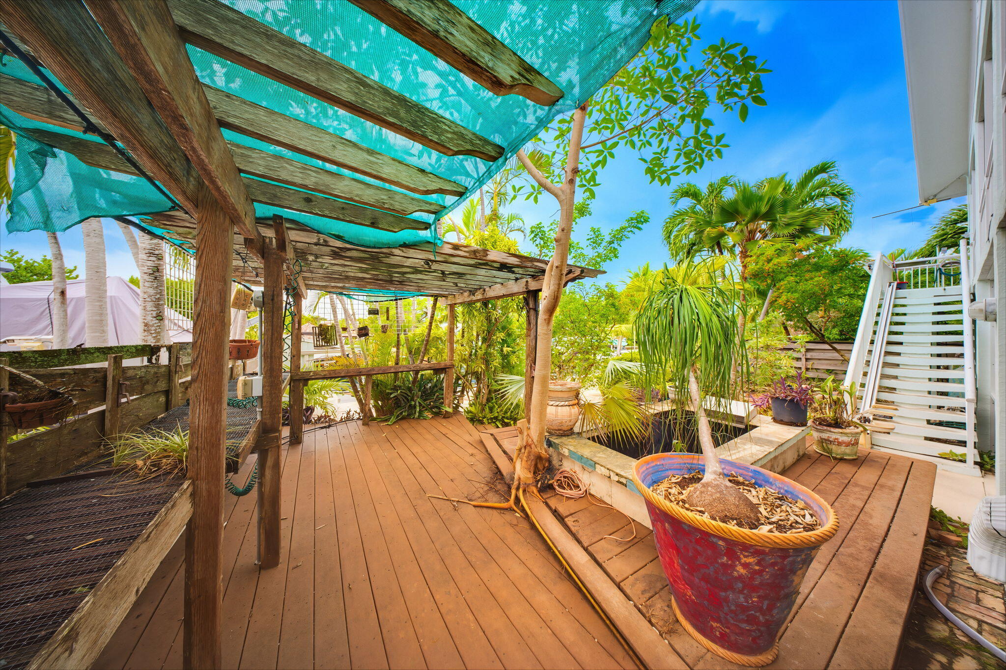147 Gardenia Street Property Photo 42