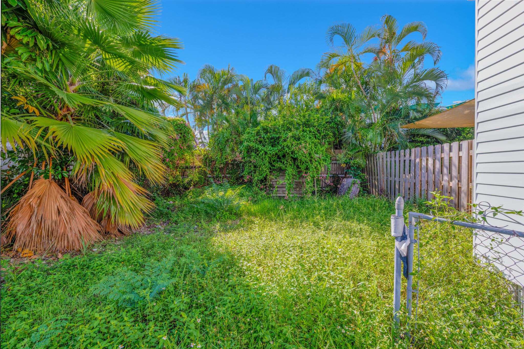 316 Virginia Street Property Photo 5
