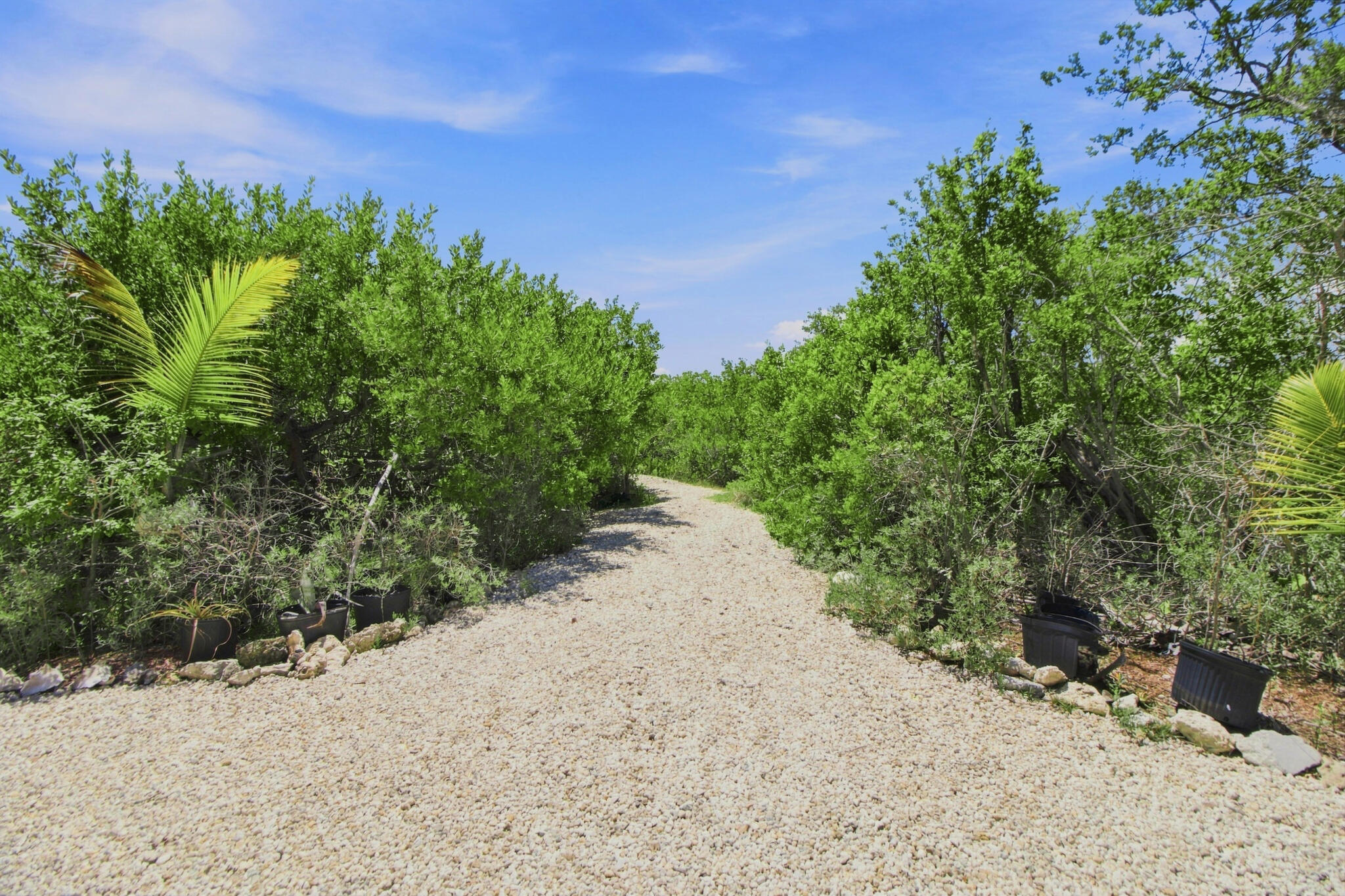 17050 Old State Road 4a Property Photo 51