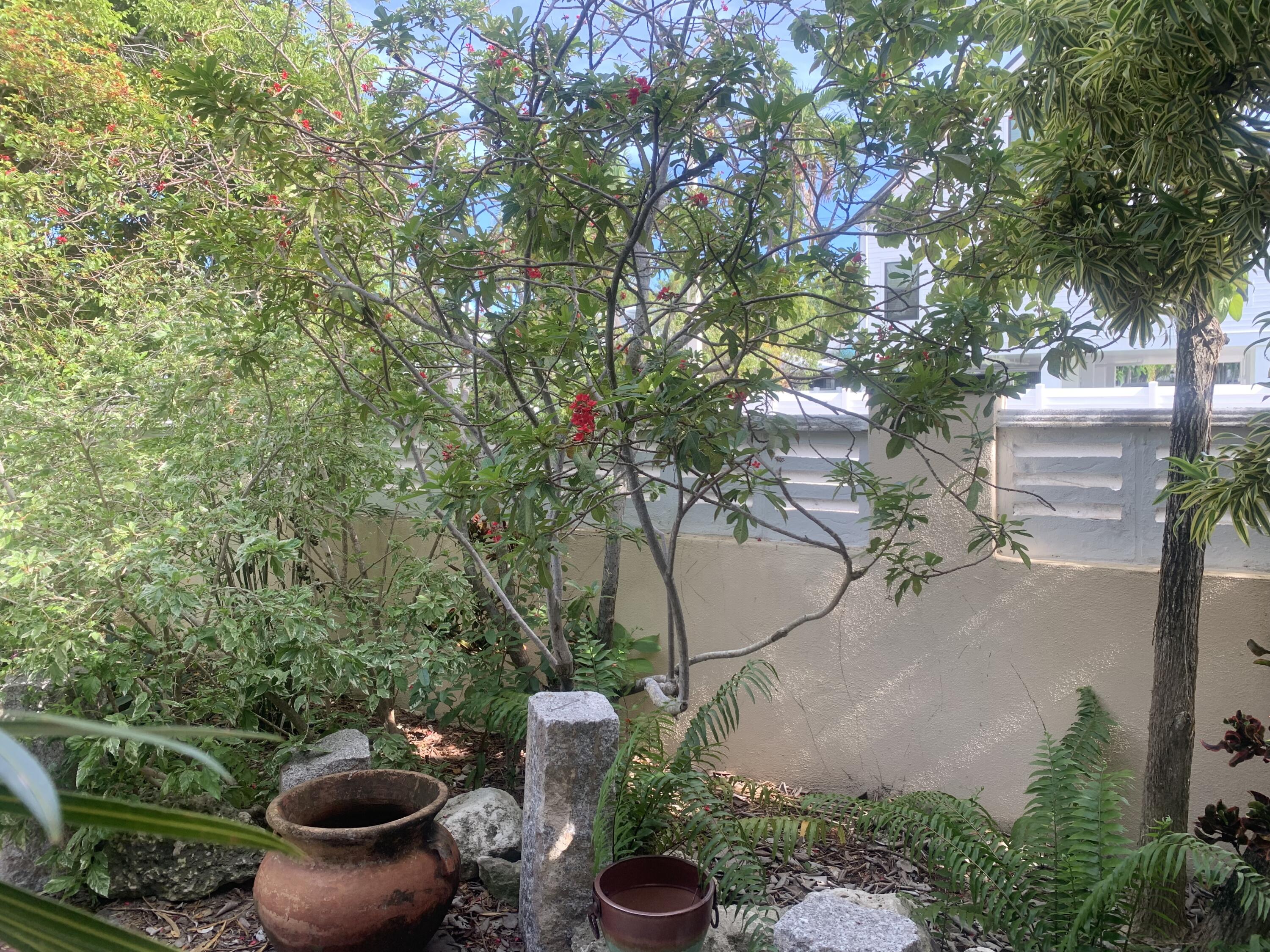 1703 South Street Property Photo 4