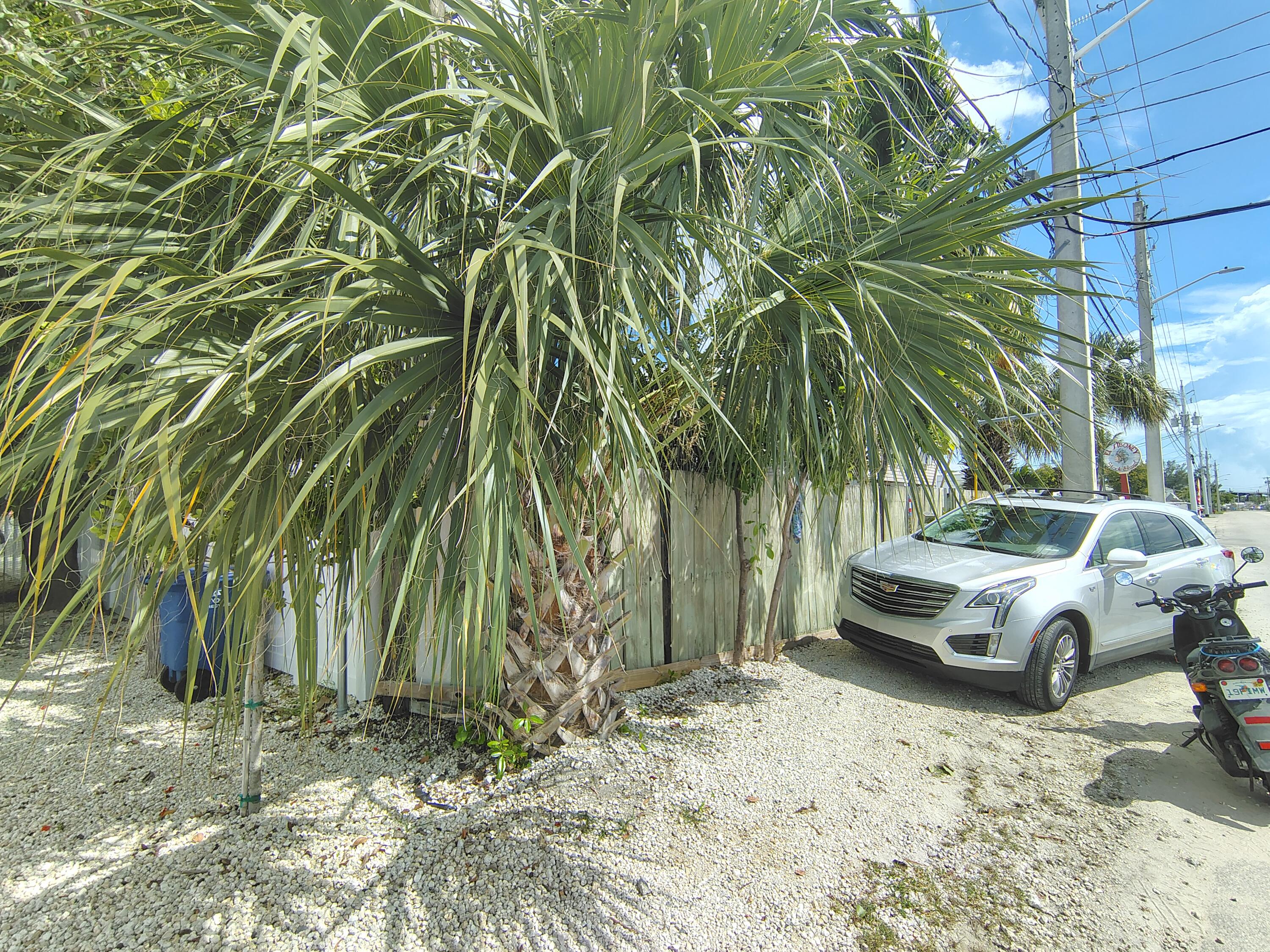 5435 5th Avenue Property Photo 3