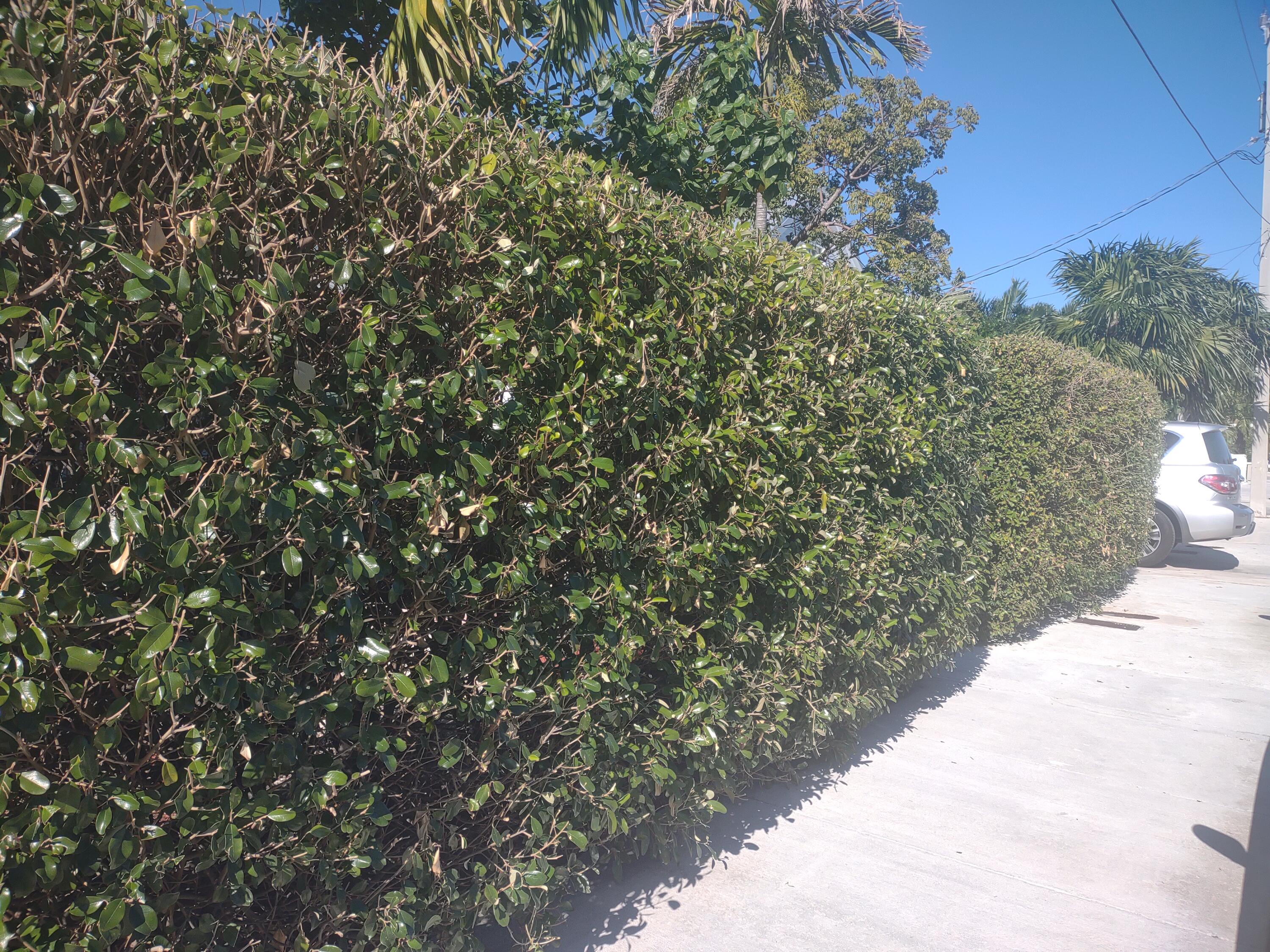 2311 Patterson Avenue Property Photo 16