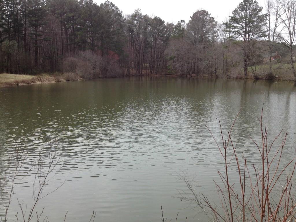 2255 Mountain Road