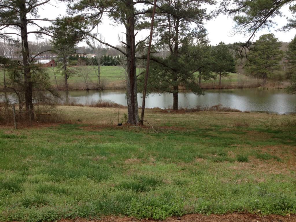 2255 Mountain Road Property Photo 2