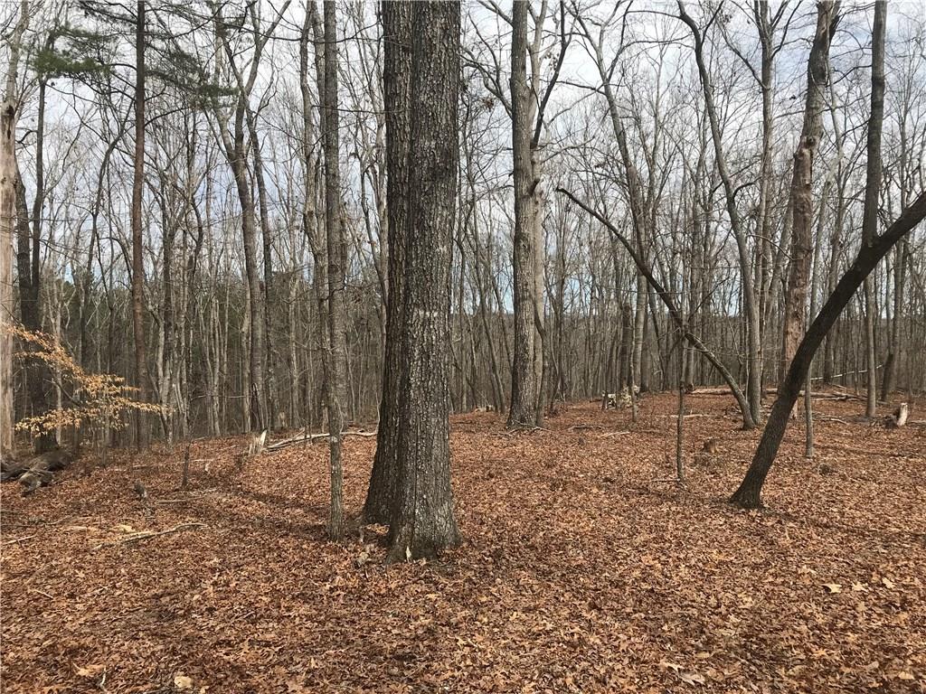 2255 Mountain Road Property Photo 3