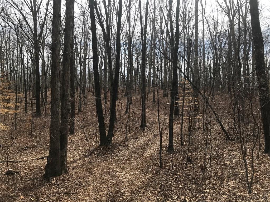 2255 Mountain Road Property Photo 4