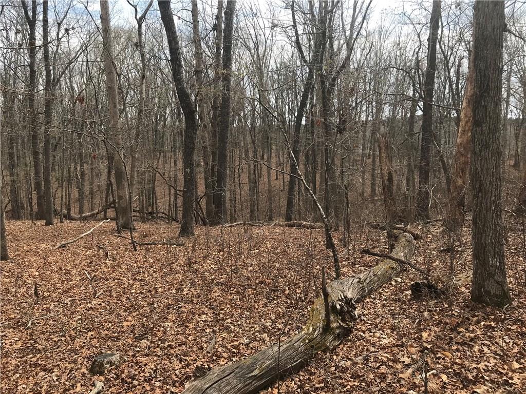 2255 Mountain Road Property Photo 6