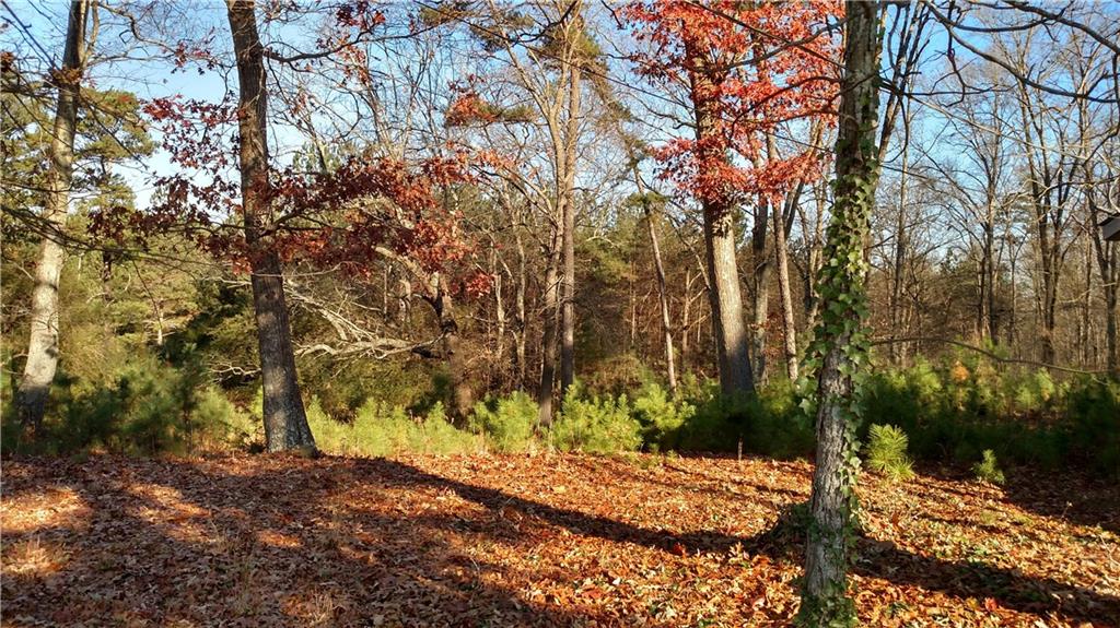 0 Highway 92 Property Photo 15