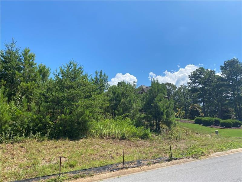 11 Lake Overlook Drive Property Photo 1