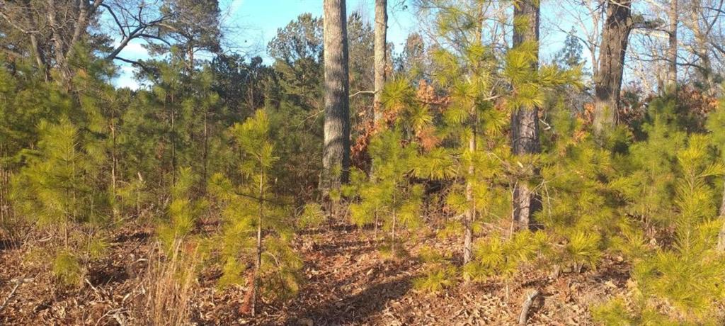 4771 Highway 92 Property Photo 1