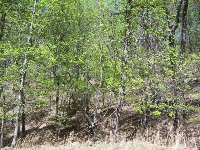 202 White Eagle Drive Property Photo 2