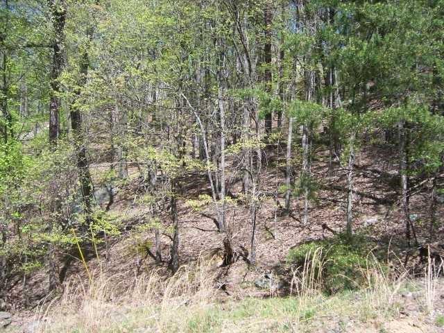 202 White Eagle Drive Property Photo 3
