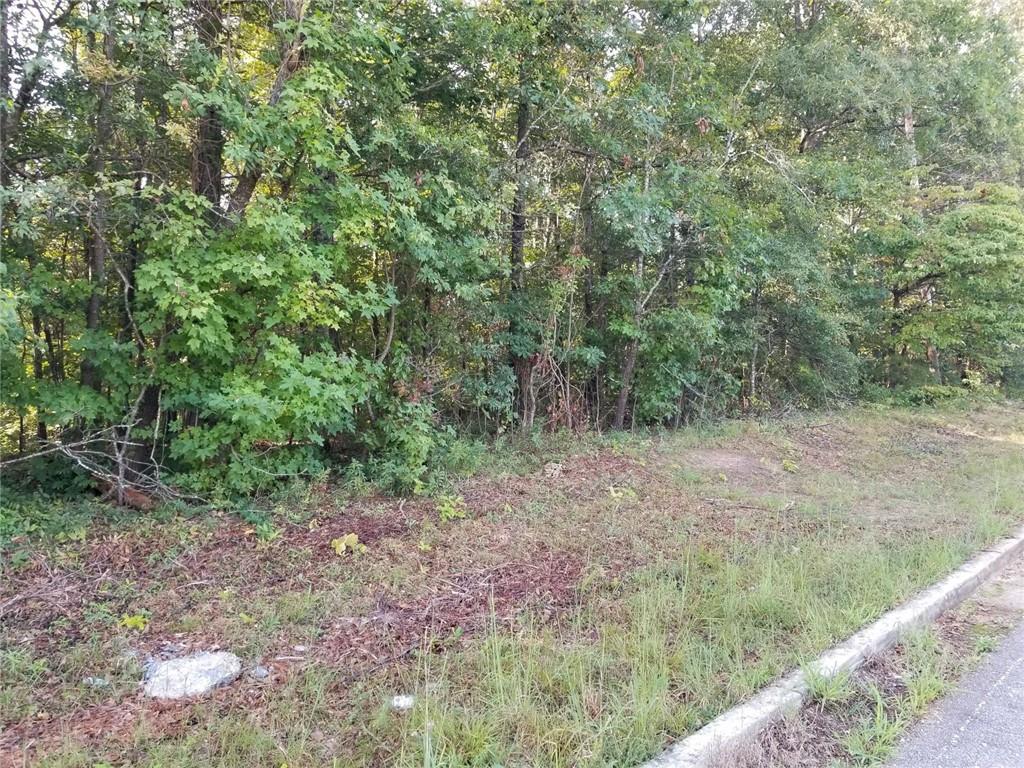 4885 Hog Mountain Road Property Photo 1