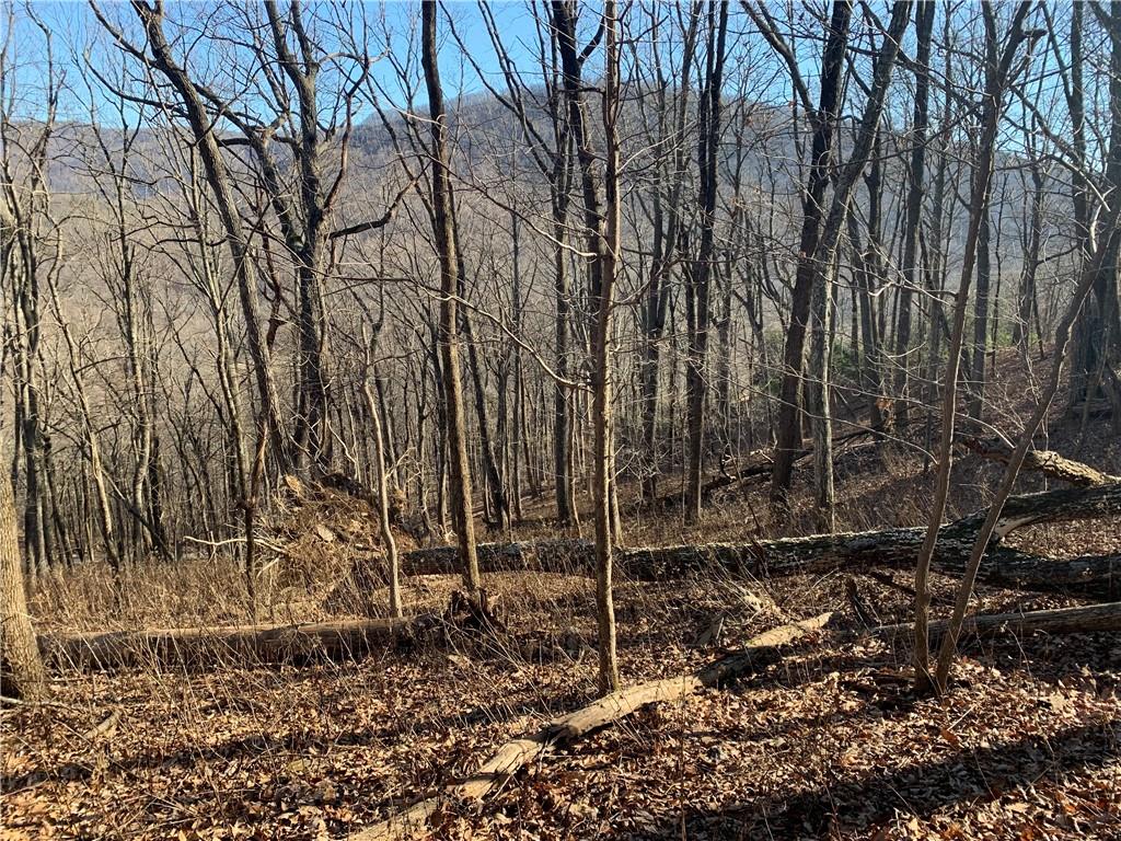 2933 Locust Trail Property Photo 1