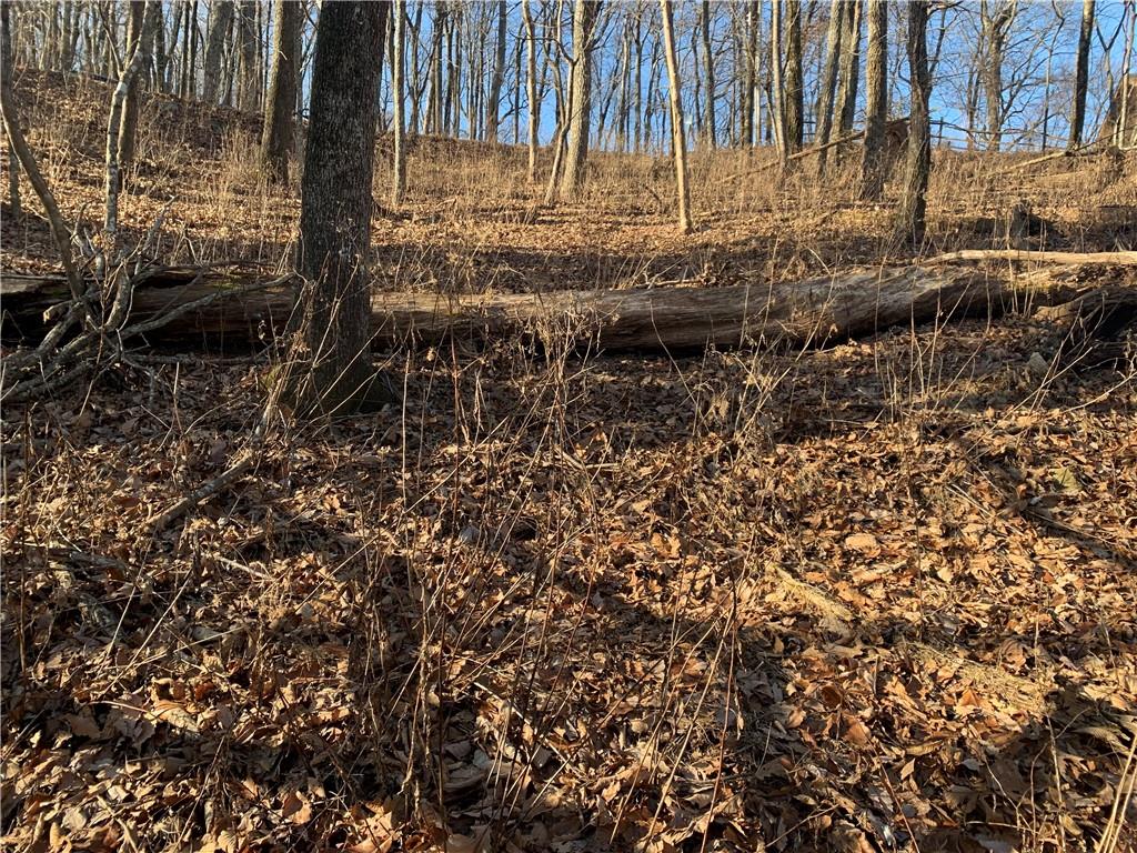 2933 Locust Trail Property Photo 4