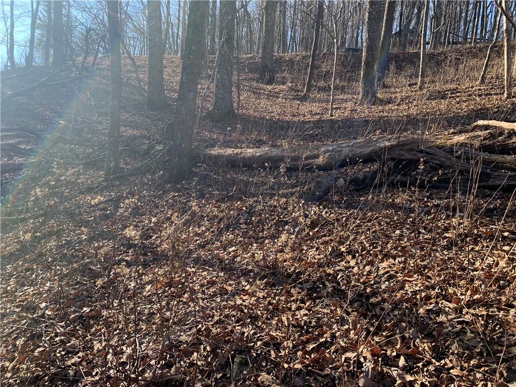 2933 Locust Trail Property Photo 5