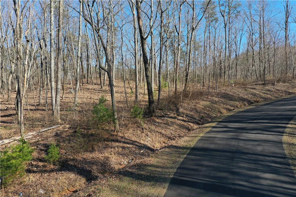 166 Trailwood Drive Property Photo 1