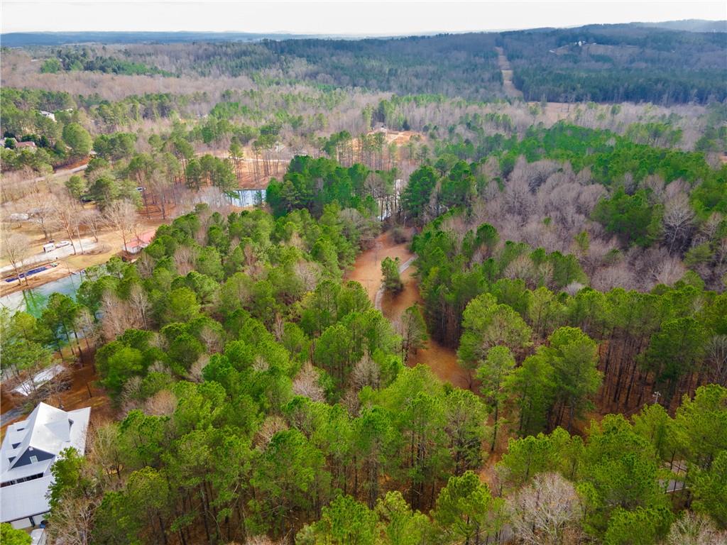 2706 Narroway Church Circle Property Photo 13