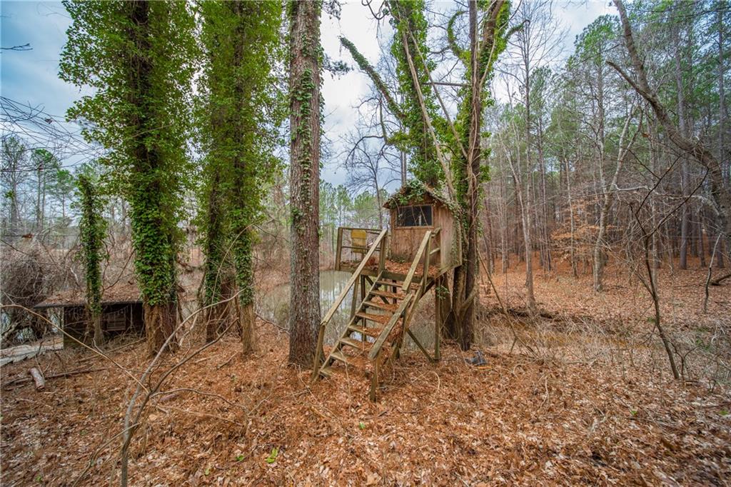 2706 Narroway Church Circle Property Photo 47
