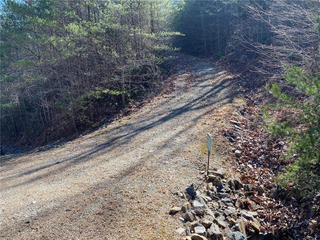 107 Sharp Mountain Parkway Property Photo 4