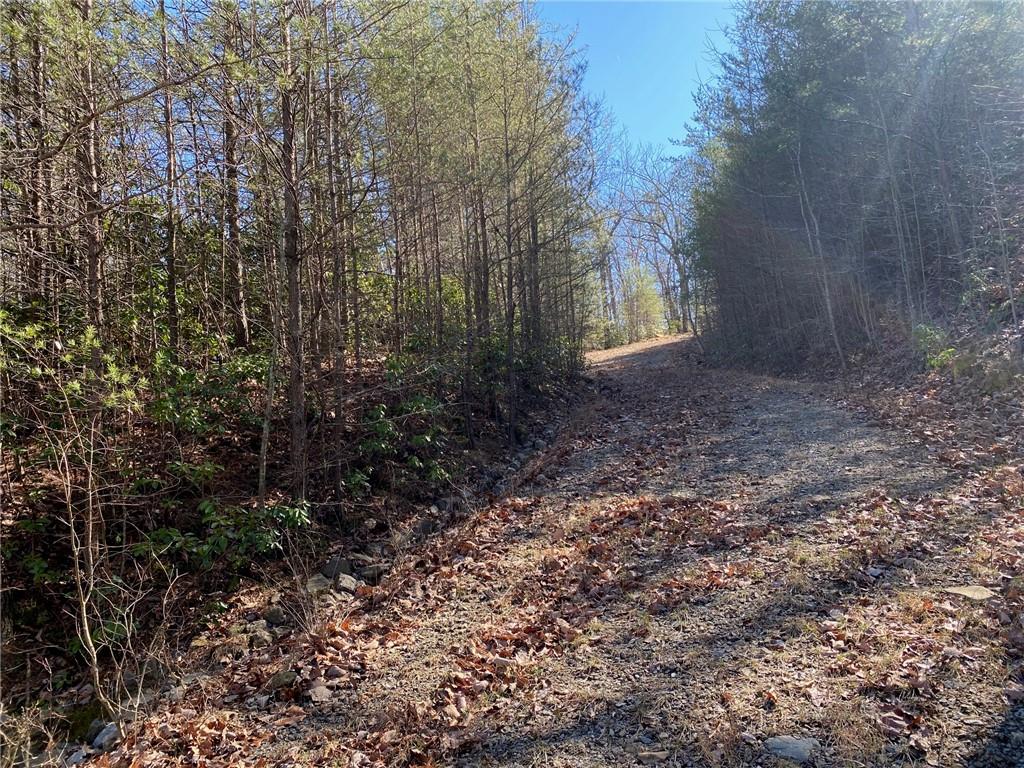107 Sharp Mountain Parkway Property Photo 5
