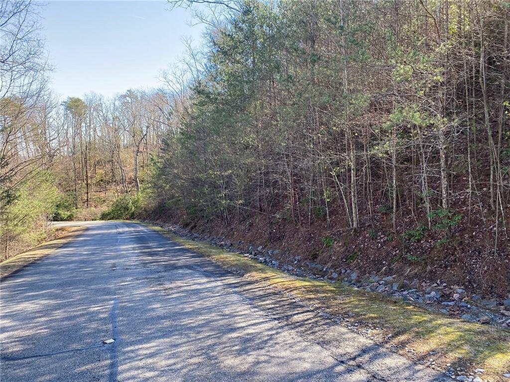 107 Sharp Mountain Parkway Property Photo 6