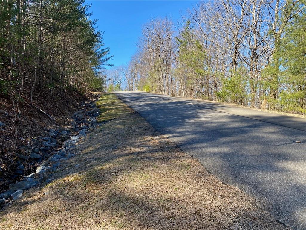 107 Sharp Mountain Parkway Property Photo 7