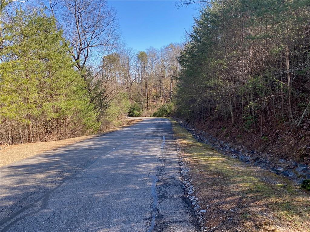 107 Sharp Mountain Parkway Property Photo 8