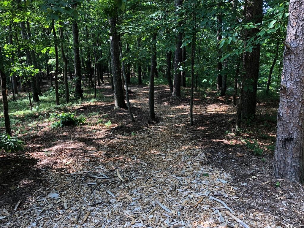 107 Sharp Mountain Parkway Property Photo 13