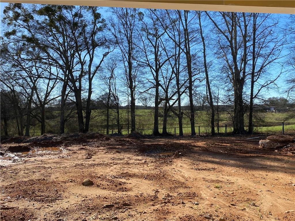 39 Dooly Lot 3 Property Photo 3