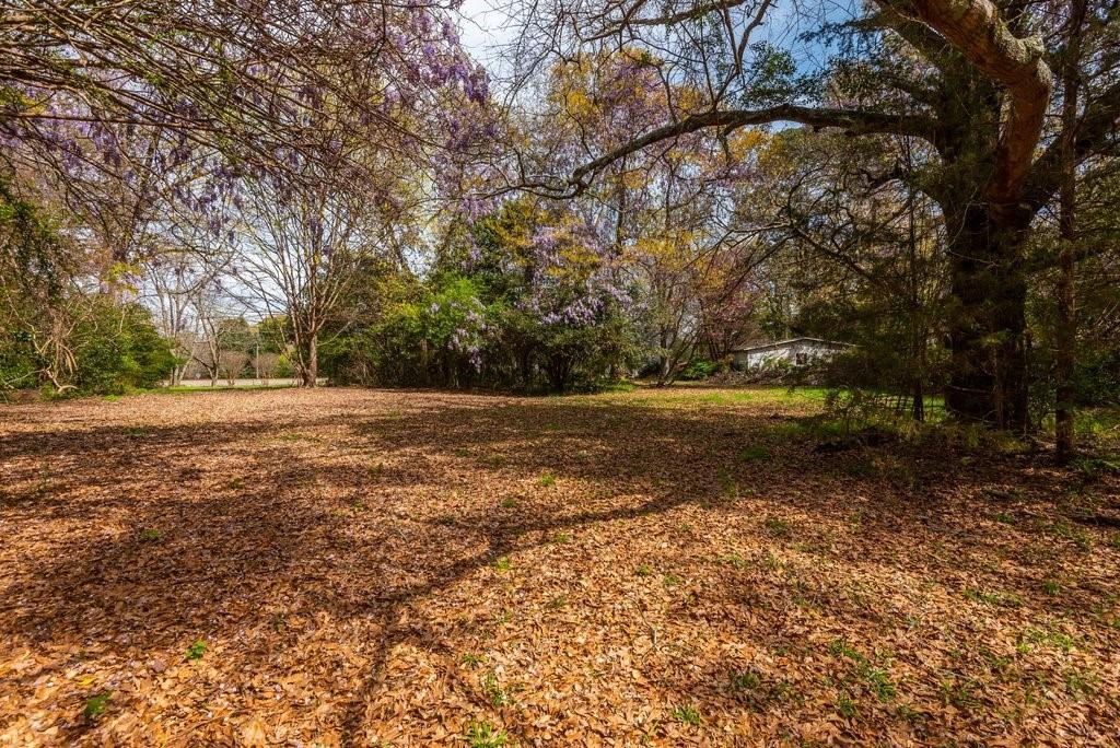 3590 Highway 42 Property Photo 54