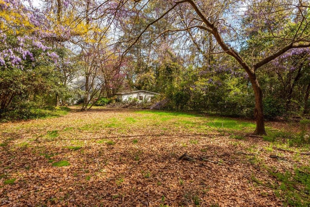 3590 Highway 42 Property Photo 55