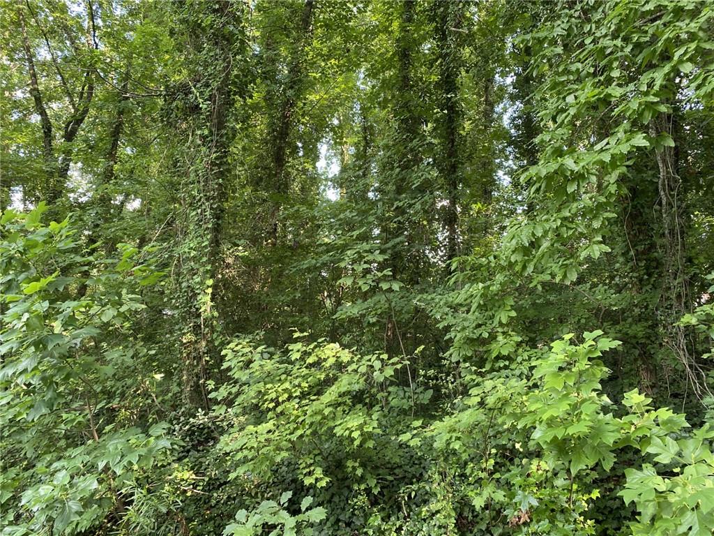 4580 Hope Springs Road Property Photo 1