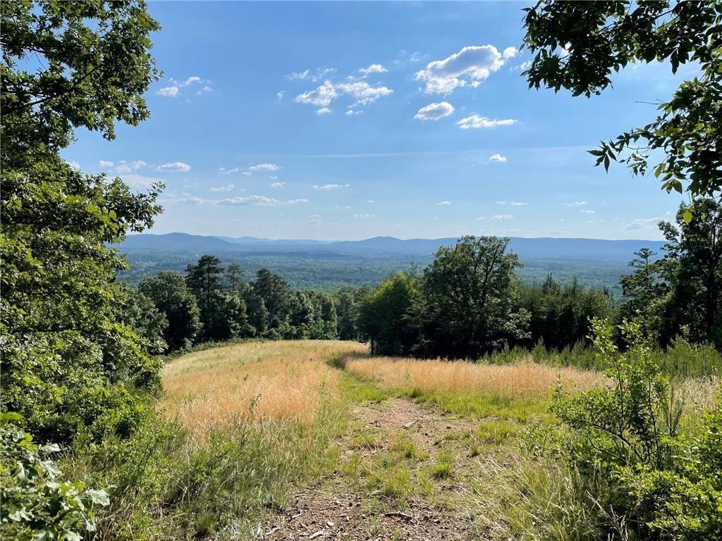 200 Ridgeview Trail Property Photo 3