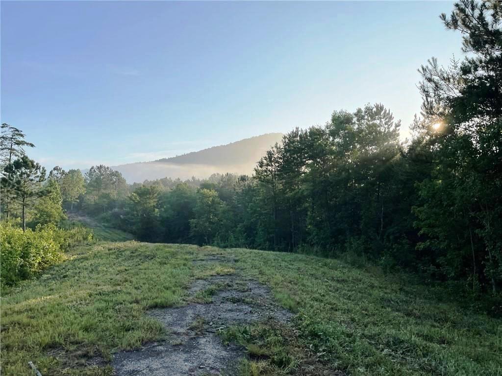 200 Ridgeview Trail Property Photo 4