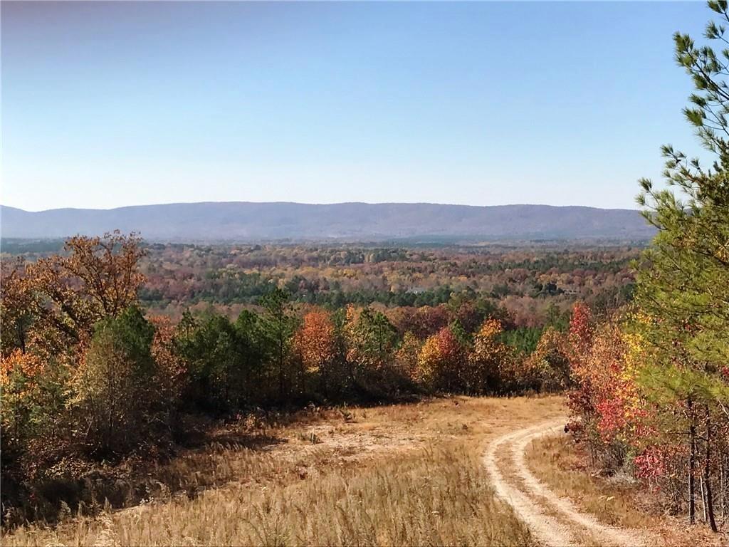 200 Ridgeview Trail Property Photo 5
