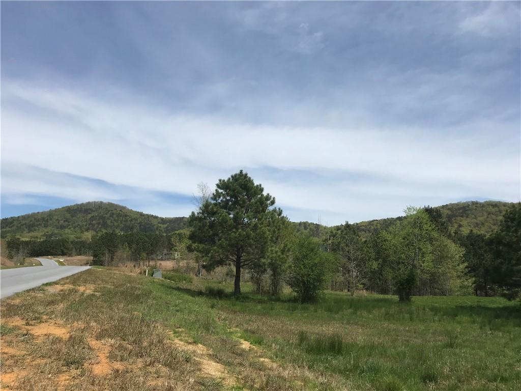 200 Ridgeview Trail Property Photo 6