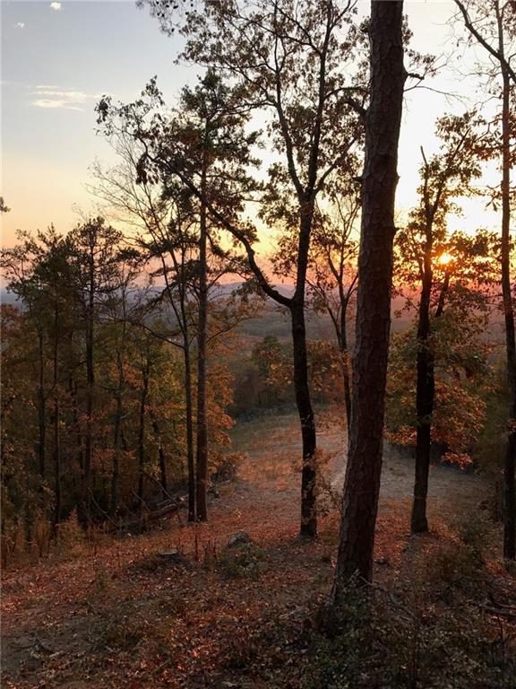 200 Ridgeview Trail Property Photo 11