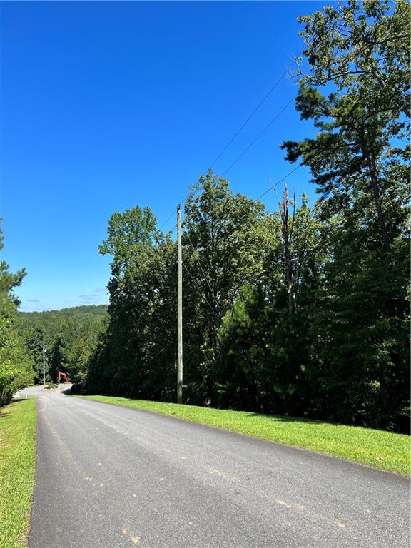 16 Hawks Branch Lane Property Photo 10