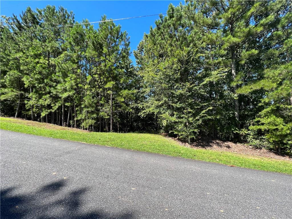 16 Hawks Branch Lane Property Photo 17