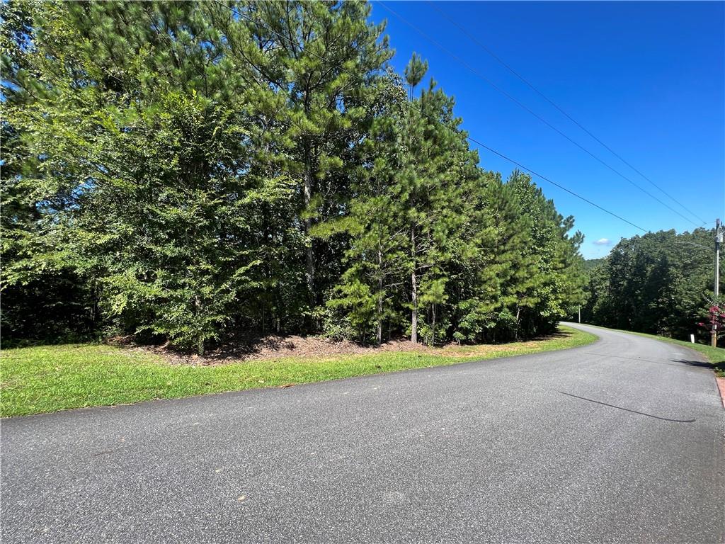16 Hawks Branch Lane Property Photo 18