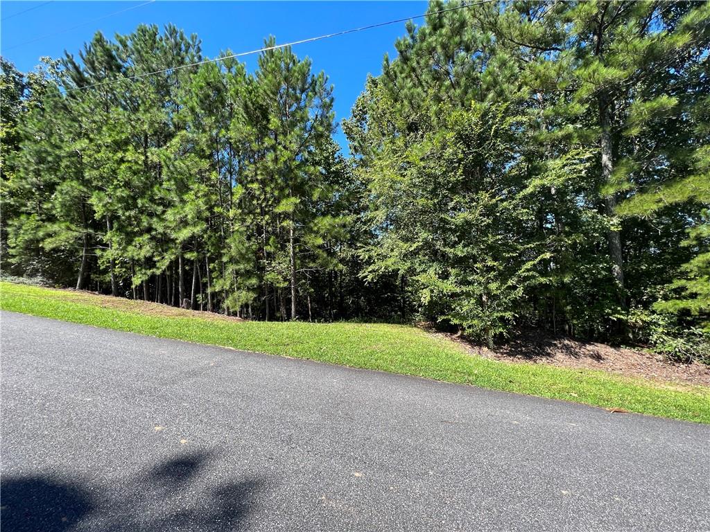 16 Hawks Branch Lane Property Photo 22