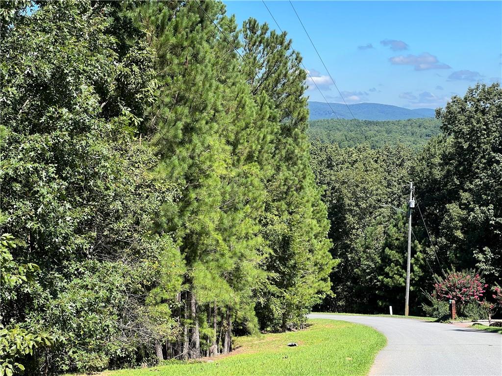 16 Hawks Branch Lane Property Photo 29