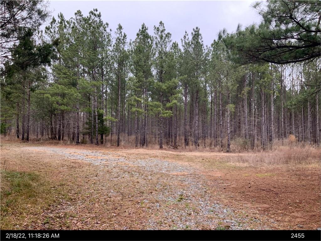 0 Macon Highway Property Photo 1