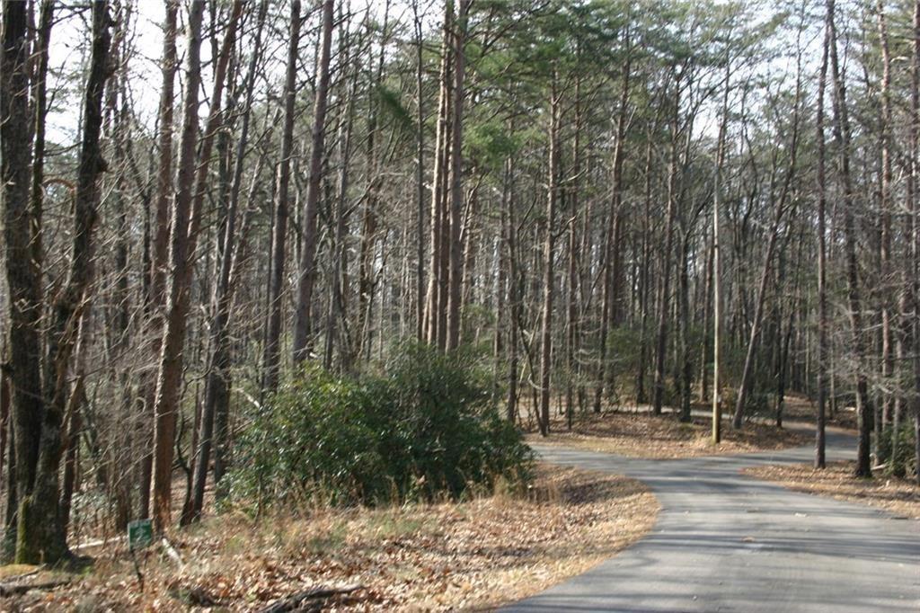 1211 Oglethorpe Mountain Court Property Photo 1